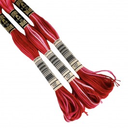 Нитки муліне (меланжеві) DMC Color Variations для вишивання № 107.