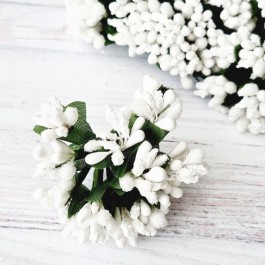 Добавка з тичинками біла