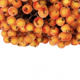 Ягідки в цукрі на проволці, двосторонні жовто оранжевого кольору