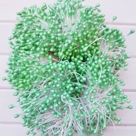 Тичинки світло зелені глянцеві двосторонні