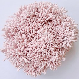 Тичинки блідо рожеві матові двосторонні