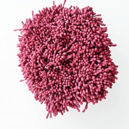 Тичинки бургунді матові двохсторонні