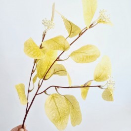 Гілочка з листочками та ягідками