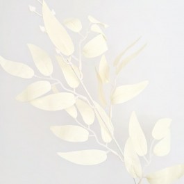 Гілочки з листочками та ягідками