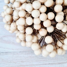 Ягідки глянцеві на проволці кремові