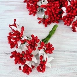 Добавка з тичинками червона