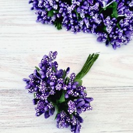 Добавка з тичинками фіолетова