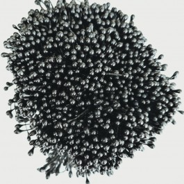 Тичинки чорні глянцеві,  двосторонні