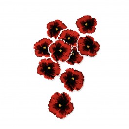 Планер пластиковий 3,3х3,3см "Мак"