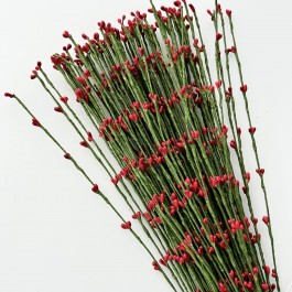 Гнучка гілочка з тичинками червона з зеленим