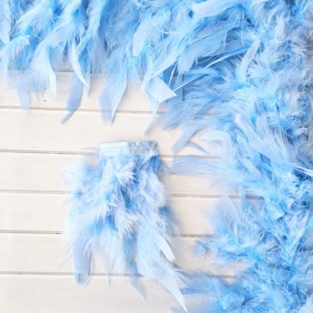Пір'я на тасьмі блакитного кольору