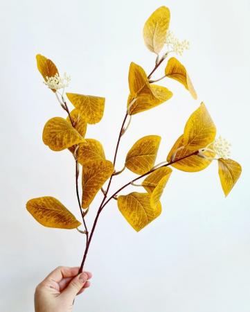 Гілочки з листочками та ягідками