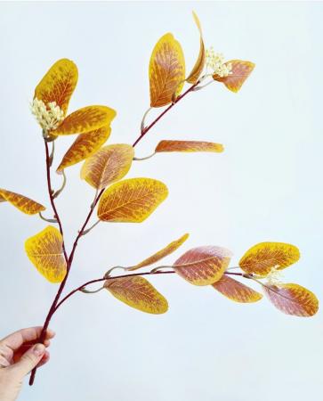 Гілочка з листочками та ягідками