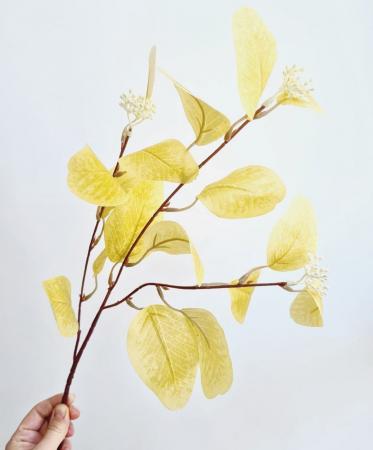 Гілочка з листочками та ягідками