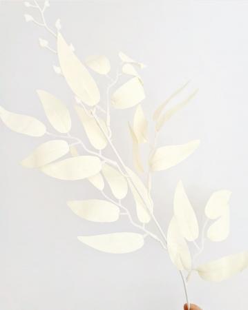 Гілочки з листочками та ягідками