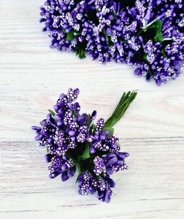 Добавка з тичинками фіолетова