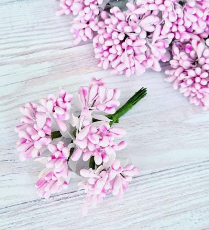 Добавка з тичинками рожева