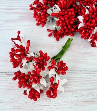 Добавка з тичинками червона