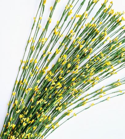 Гнучка гілочка з тичинками жовті на зеленій проволці