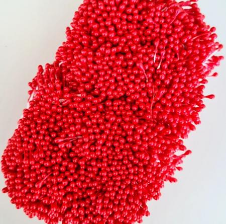 Тичинки червоні глянцеві,  двосторонні