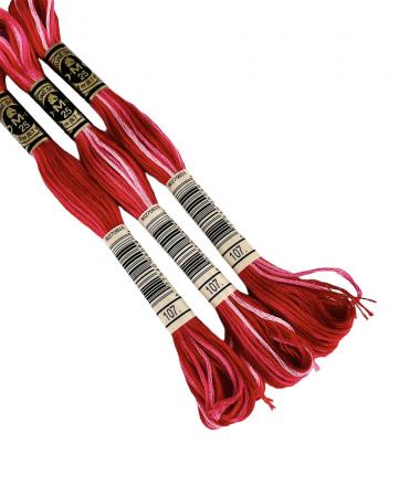 Нитки муліне (меланжеві) DMC Color Variations для вишивання № 107.