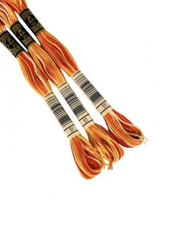 Нитки муліне (меланжеві) DMC Color Variations5 для вишивання № 51