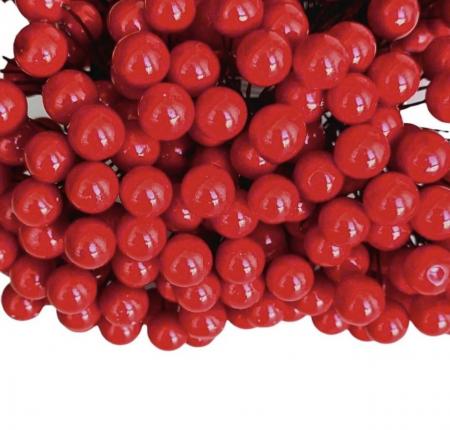 Ягідки глянцеві на проволці червоні