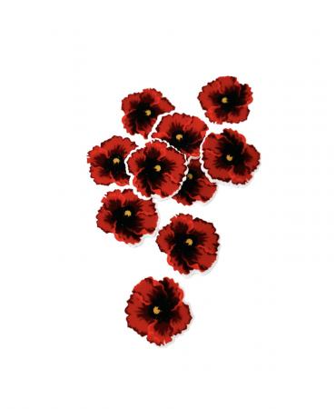 Планер пластиковий 3,3х3,3см "Мак"