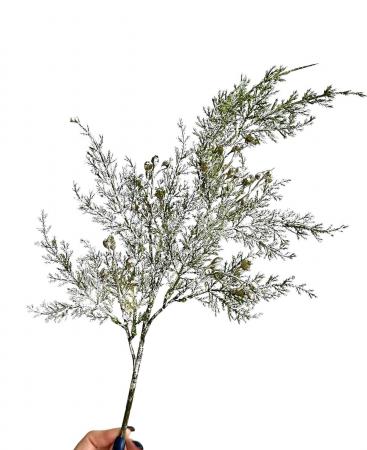 Декоративна гілка хвої в снігу