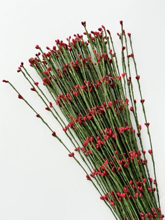 Гнучка гілочка з тичинками червона з зеленим