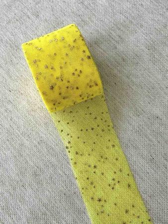 Фатин насичено жовтий в срібні зірочки